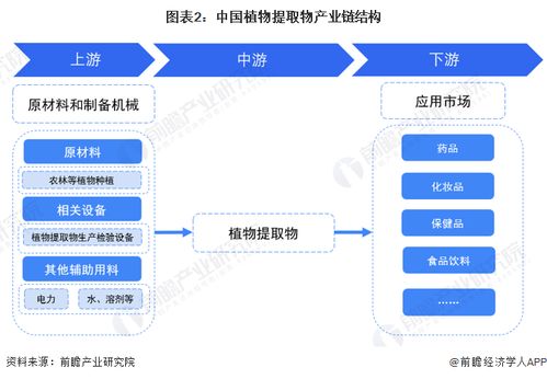 預(yù)見2023 中國(guó)植物提取物行業(yè)全景圖譜與AI賦能的軟件開發(fā)新機(jī)遇